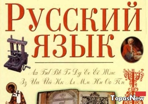 Как правильно: кухонь или кухон? Правильное написание и произношение