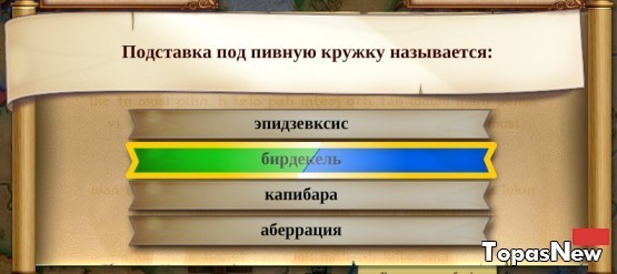 Подставка под пивную кружку называется