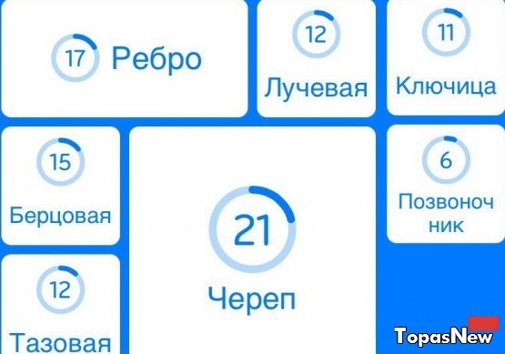 Названия костей человеческого тела | Кости человека