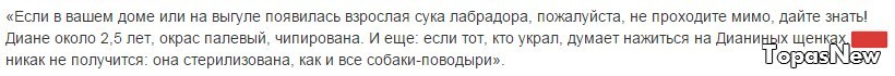 У слепой девушки из Москвы на прогулке украли пса-поводыря