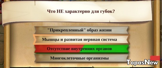 Что НЕ характерно для губок?