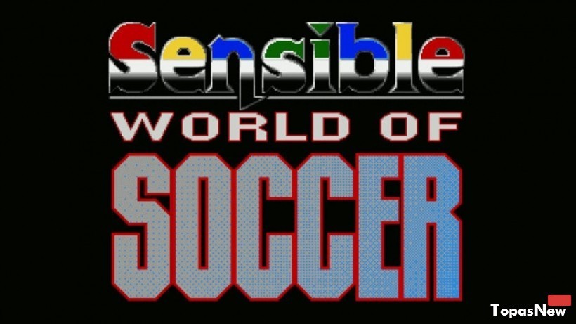 Sensible World of Soccer (1994) - история игры