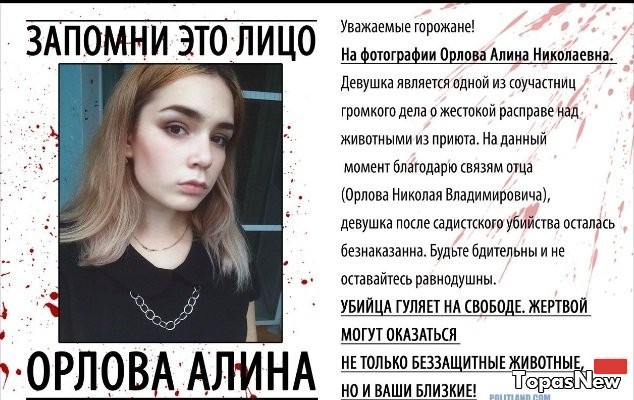 живодёрка из хабаровска алина орлова, хабаровские живодерки последние новости