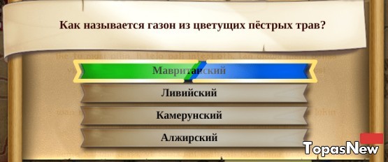 Как называется газон из цветущих пёстрых трав?