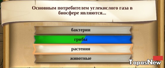 Основным потребителем углекислого газа в биосфере являются