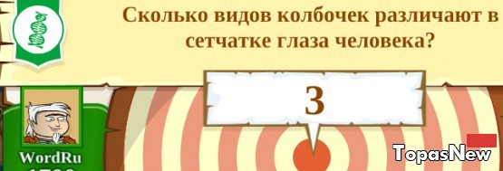 Сколько видов колбочек различают в сетчатке глаза человека?