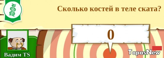 Сколько костей в теле ската?