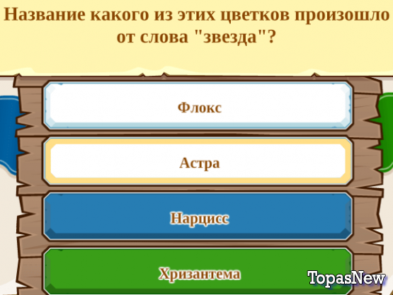 Название какого из этих цветков произошло от слова "звезда"?