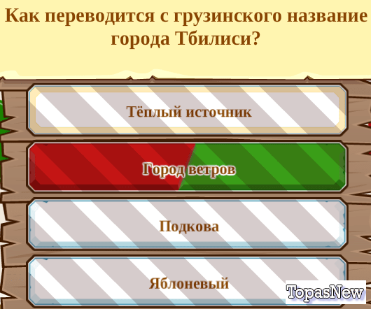 Как с грузинского переводится название города Тбилиси?