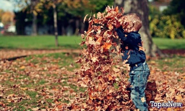 Ребёнок играет в листве - картинка