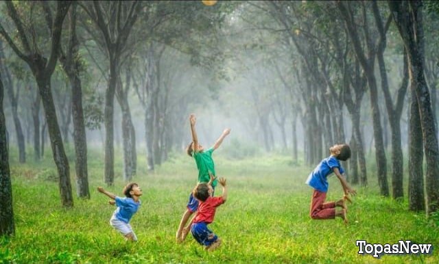 Дети играют с мячом в лесу - картинка