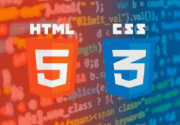 как правильно изучить HTML & CSS?